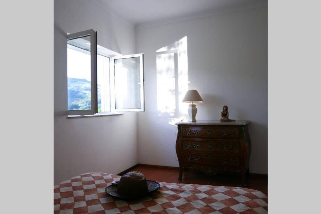Douro Valley - Casa Do Campo Resende Covelas  Ngoại thất bức ảnh